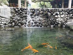-白云源风景区