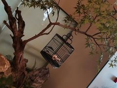 -潮上潮(南中环店)