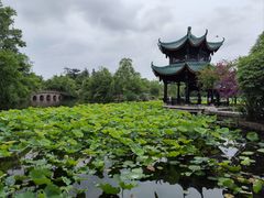-桂湖森林公园