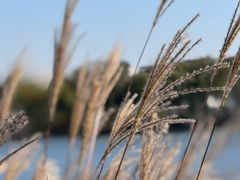 -长广溪湿地公园