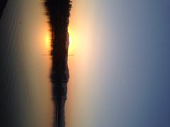 永定河休闲森林公园-永定河休闲森林公园