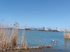 -长广溪湿地公园