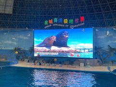 -泉城欧乐堡海洋极地世界