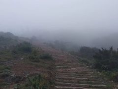 -大姆山草场