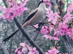 -新江湾城公园
