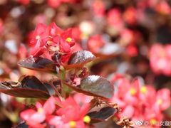-龙达温泉生态城