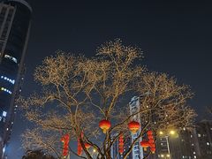 -王家山炸鸡店(印象汇店)