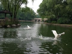 -钓鱼台国宾馆