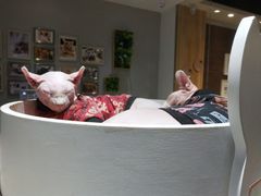 -藏猫猫咖啡主题馆(中央大道店)