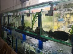 -富临港·蒸汽海鲜·手抓海鲜·炒菜(栈桥店)