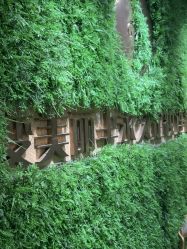 -变美丽半永久纹眉连锁·机器野生眉•洗眉