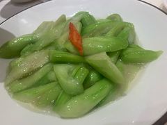 清炒丝瓜-解家河南菜(商鼎路店)