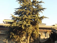 -大学习巷清真寺