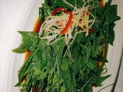 -蜀龙阁· 龍头水煮鱼(天坛店)