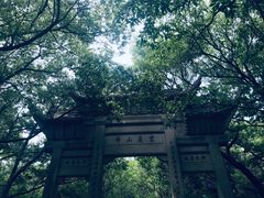 -灵岩山风景区