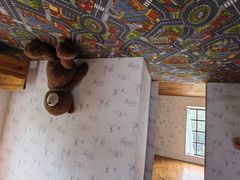 -金山农民画村-枫泾波兰倒置屋