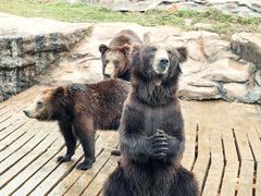 -海南热带野生动植物园