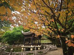 -阳明祠