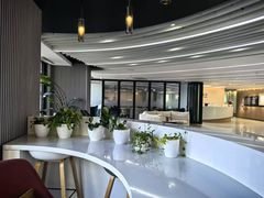 -王丽律师团队·专注婚姻家事(黄浦店)