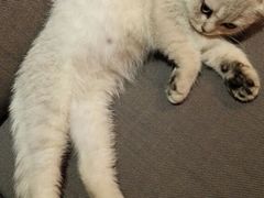 -MIKAKU(万达广场上海宝山店)