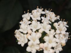 -瑶湖郊野森林公园