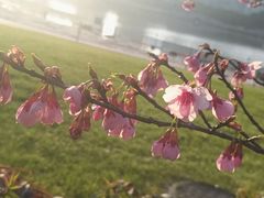 -大宁灵石公园西门票处