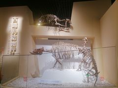 -国家自然博物馆