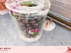 -卧龙湖