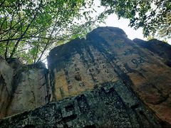 -铁山坪森林公园