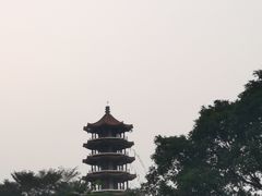 -深圳仙湖植物园