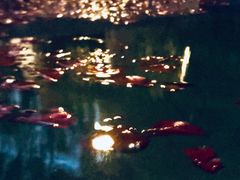 -天目湖涵田半山温泉