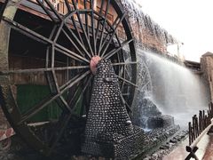 -呀路古热带植物园