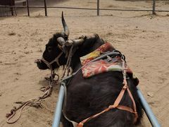-水洞沟旅游区