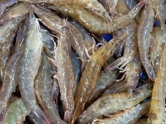 -北京清河镇农副产品交易市场中心