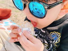 -永定河休闲森林公园