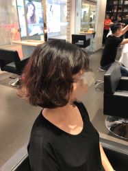 -东方麒麟·潘多拉SALON