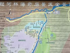 -汤旺河林海奇石景区