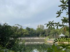 -四海公园(南山区)