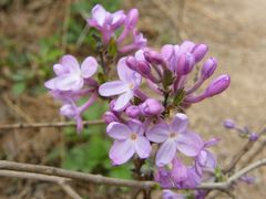 -南京市无想山景区