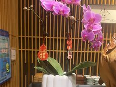-梅间堂茶馆(绿地缤纷城店)