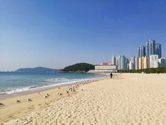 -海云台海滩