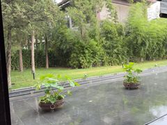 -曲水兰亭(北京四惠店)