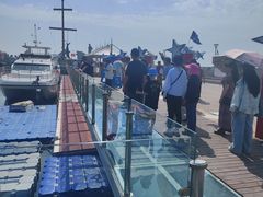 -中华人民共和国水准零点