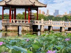 -济南大明湖景区