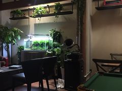 -百好乐宠物友好餐厅(朝外大街店)