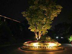 -上海崇明金茂凯悦酒店