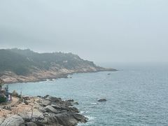 -广东惠东海龟国家级自然保护区