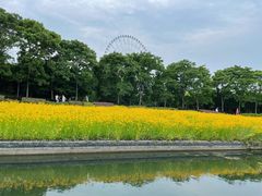 -蠡湖大桥公园