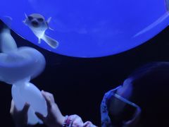 -江和美海洋公园