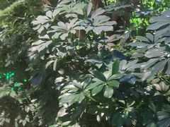 -金稼园·金平湖农家菜